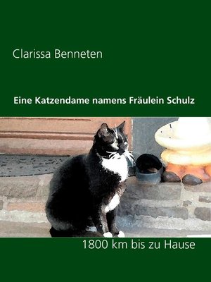cover image of Eine Katzendame namens Fräulein Schulz